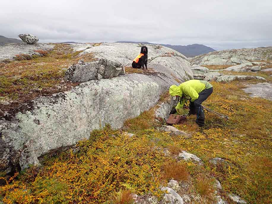 Finn Johnsen undersøker et mulig funn. Hunden passer på.