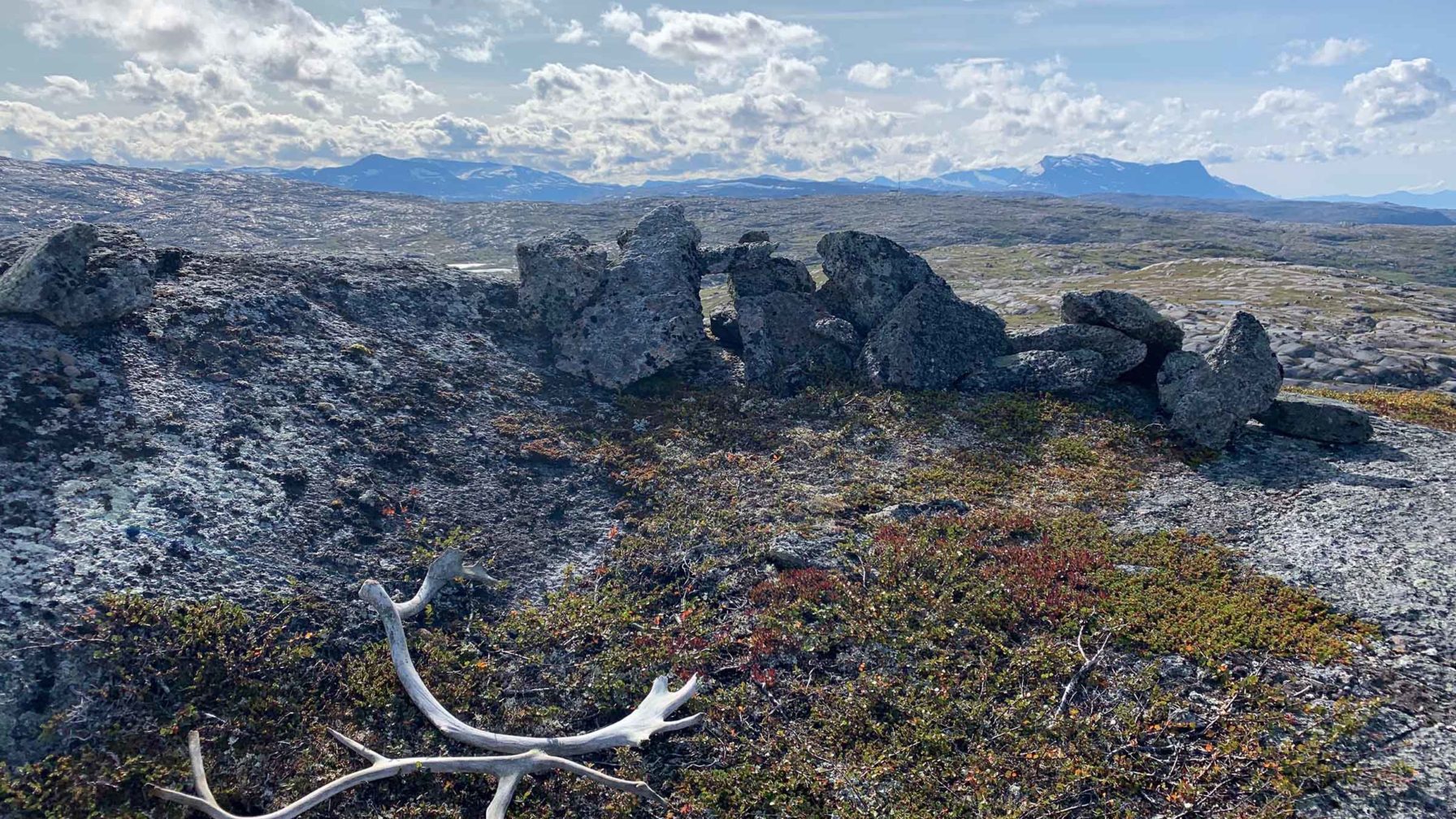 Landskap med rester av stilling og gevir