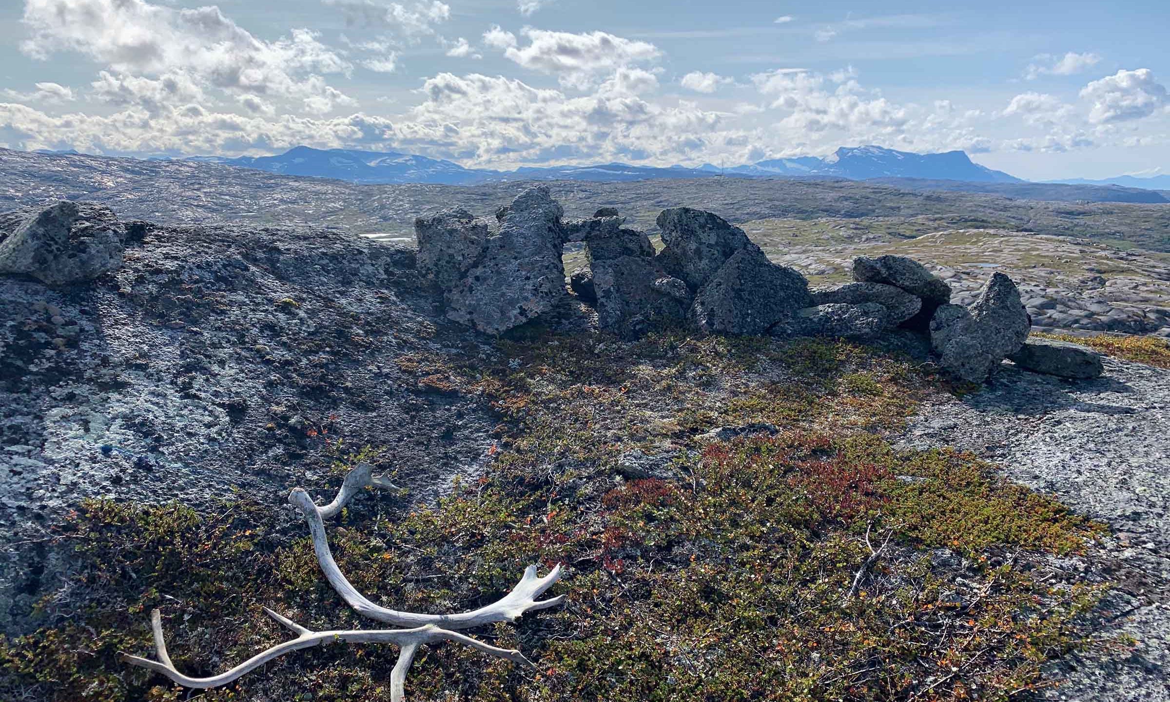 Landskap med rester av stilling og gevir